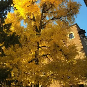 Residenza Ermanni Frühstückspension Verona
